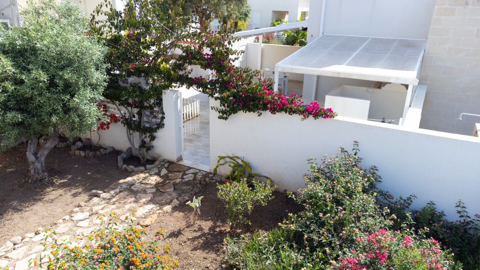 Il giardino con bougainvillea